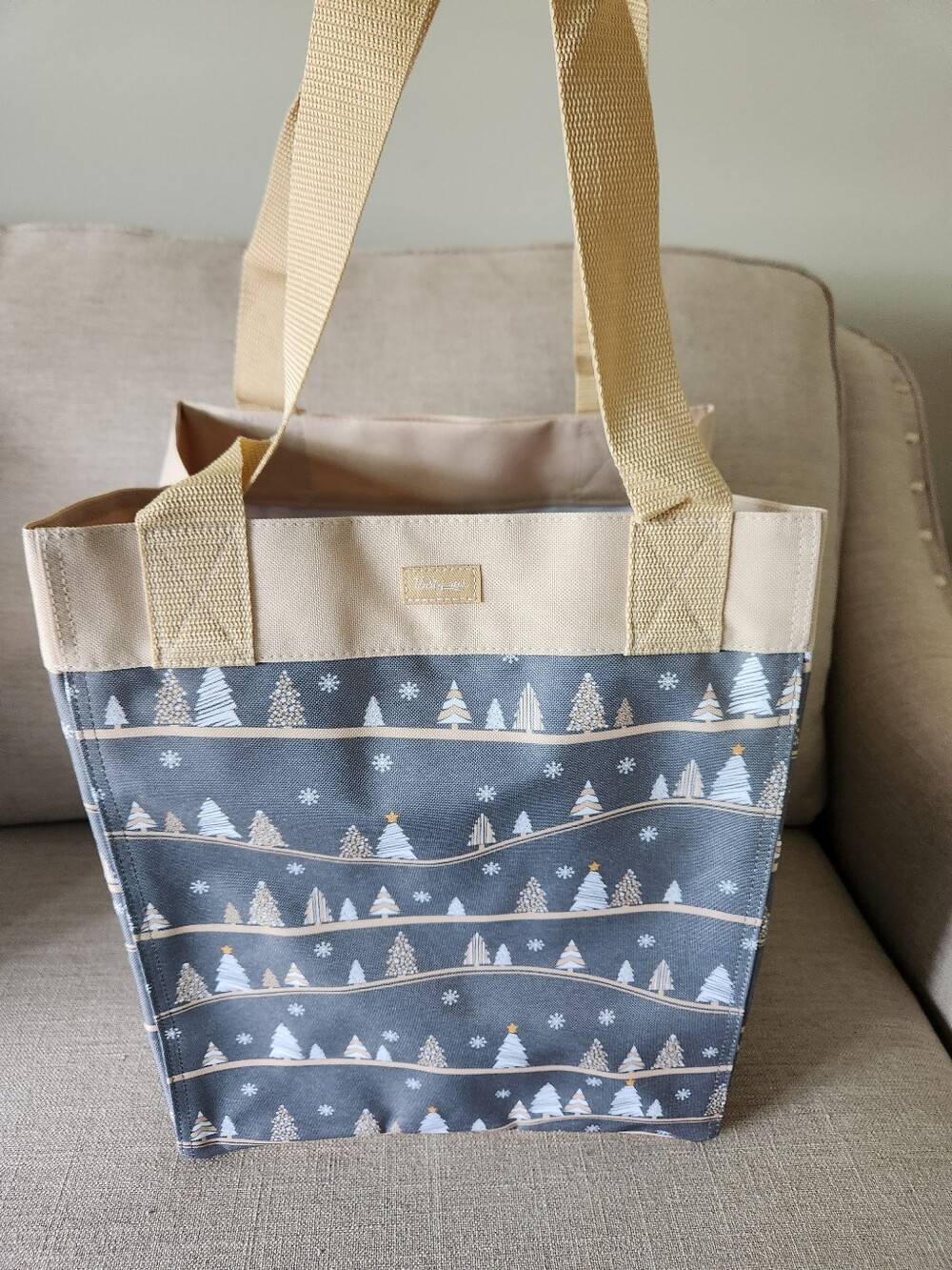 Canvas Holiday Tote Bag in Beige and Gray